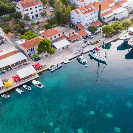 Corallium Precious Διαμέρισμα Pomena