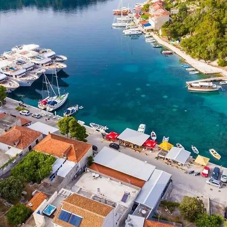 Corallium Precious *