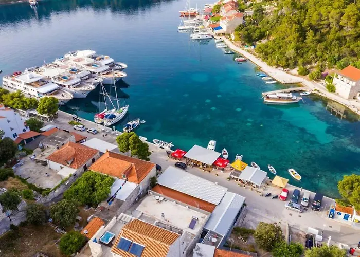 Corallium Precious *